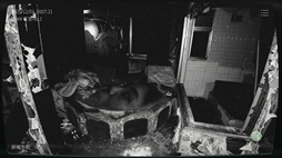 ܻʪƻ붨2 -Japan Stigmatized Property-