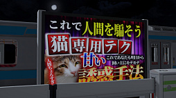 Platform 6 ONLINE | 6饤ϰõ