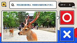 ¥˥åݥ󡪤ϾＱߥvsܡ2Ǥ󤿤󻨳ضƦμؽȥӥ