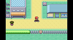 ポケットモンスター リーフグリーン