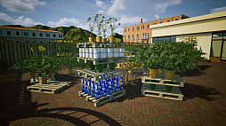 Sunny Blooms Garden Center