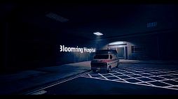 At Night: The Nurse