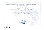 画像集#010のサムネイル/PS Vita「ファンタシースター ノヴァ」の刻印を施したPS Vita/PS Vita TVがソニーストア限定で11月27日発売。予約受付は本日スタート