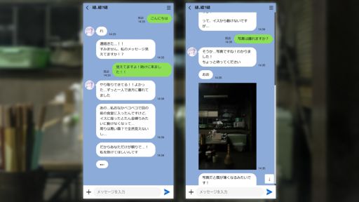 ꡼ No.003Υͥ / ѡȤǼ͸ȤȤ꤬Ǥ뾯̡ͩס1219ȯοޤ󤬻֥㤪פ1äǺ