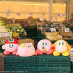 ꡼ No.014Υͥ / Υӥڡ in ʥॳ Ȥ줿ơץץפ䤵פʥॳΥ졼󥲡1212饹ȡʤоͽ