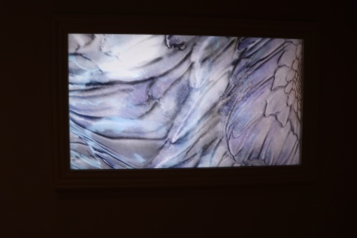 ���������꡼ No.028�Υ���ͥ������ / ����������祫�ץ���Ÿ����������������ݡ��ȡ�40ǯ�ʾ�ˤ錄����ˡ��ȼ��Υ����೫ȯ�Υ��ϥ������Ťʻ������ˤ��ߤʤ�Ÿ��