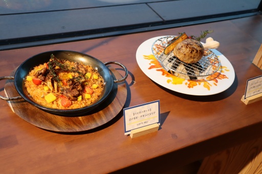 ���������꡼ No.043�Υ���ͥ������ / ����������祫�ץ���Ÿ����������������ݡ��ȡ�40ǯ�ʾ�ˤ錄����ˡ��ȼ��Υ����೫ȯ�Υ��ϥ������Ťʻ������ˤ��ߤʤ�Ÿ��