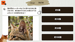 猫博士 下僕用ー本気で学ぶ猫様の取扱説明書ー