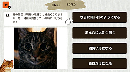 猫博士 下僕用ー本気で学ぶ猫様の取扱説明書ー