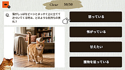 猫博士 下僕用ー本気で学ぶ猫様の取扱説明書ー