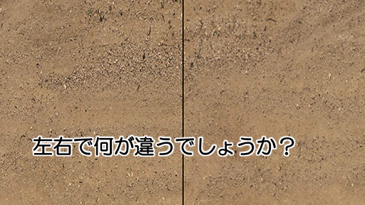  No.007Υͥ / CEDEC 2015ϥƥκŬʼ򥽥եȤʬϡ ֥ġꥹפΥݥեˡǥ뤬ʬϥġΰϤȤ