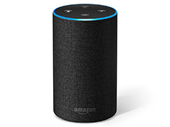 「Google Home」や「Amazon Echo」はゲームでも使えるもの? ゲーマーも知っておきたい「スマートスピーカー」の今とこれから