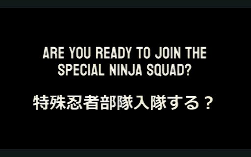 ꡼ No.011Υͥ / üǦ Special Ninja SquadסǥǤPC󥸥NESۿ档ǦԤȿ臘ACT