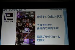 画像集 No.028のサムネイル画像 / 東京ゲームショウ2018は9月20日から23日まで開催。テーマ「新たなステージ,開幕。」などがアナウンスされた発表会をレポート