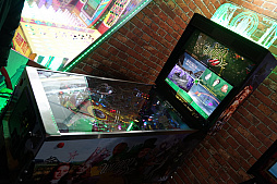  No.011Υͥ / JAEPO2019ϥԥܡ뤬ʥ Stern PinballJersey Jack PinballܾΦ﷿Υޥ