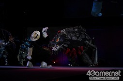 ॷ祦Υ٥ȡCosplay Collection Nightץեȥݡȡ⳰Υץ쥤䡼ơǶ