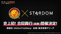 画像集#024のサムネイル/「ブシロード 15周年記念イベント発表会」レポート。ミルキィホームズが帰ってくる!? 同社の15周年ライブが2022年11月に開催決定