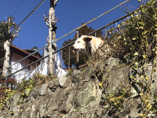 画像集 No.014のサムネイル画像 / 大自然の中でゲームを開発したっていいじゃない。「奥多摩ゲームジャム」に参加して見えてきた，クリエイターの「新しい生き方」