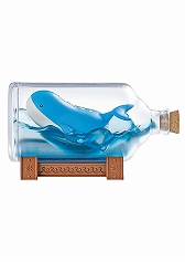  No.004Υͥ / ֥ݥåȥ󥹥 AQUA BOTTLE collection 䤯դΤᤰꤢפκΤꡣ6ȯͽͽ